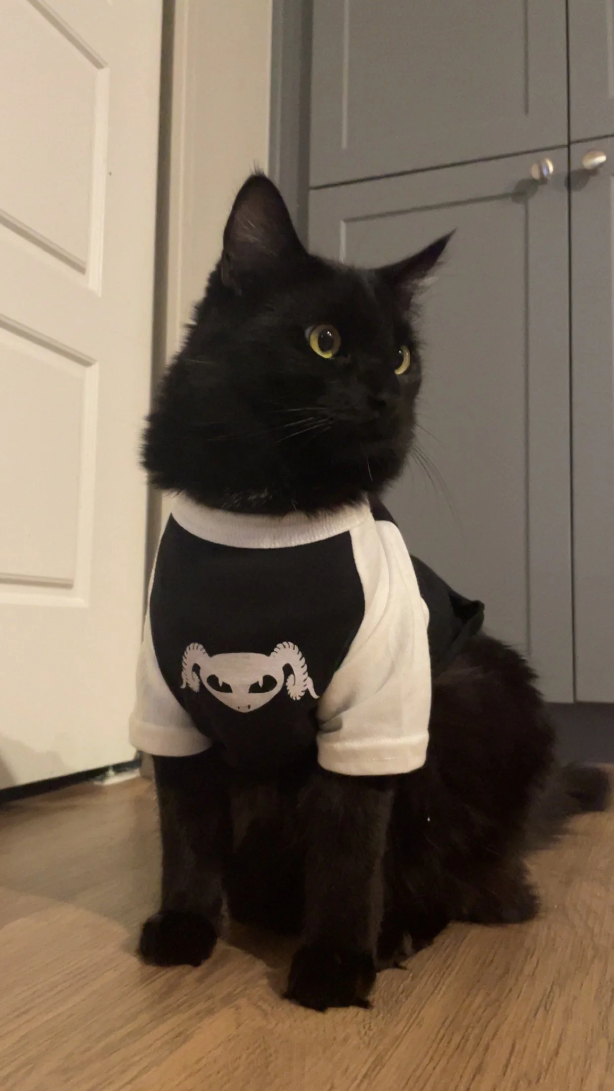 Pet Baseball Tee - Image 2