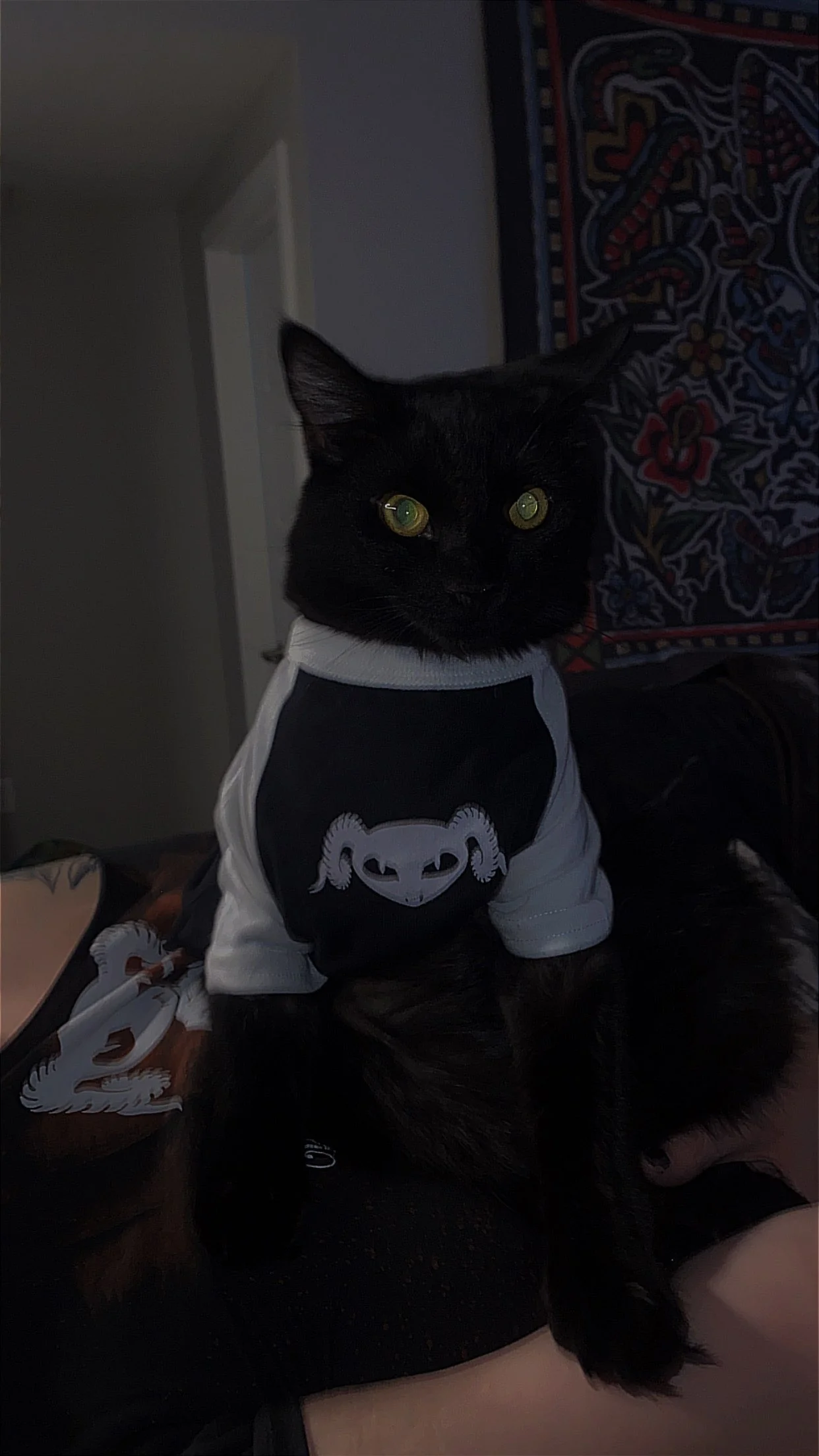 Pet Baseball Tee - Image 3